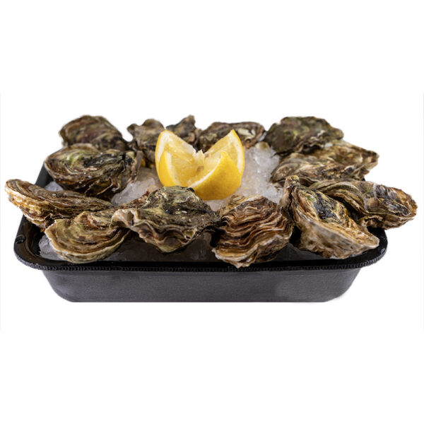 12 huitres n°3 de Thau (Copie)